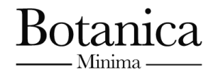 ciclamino